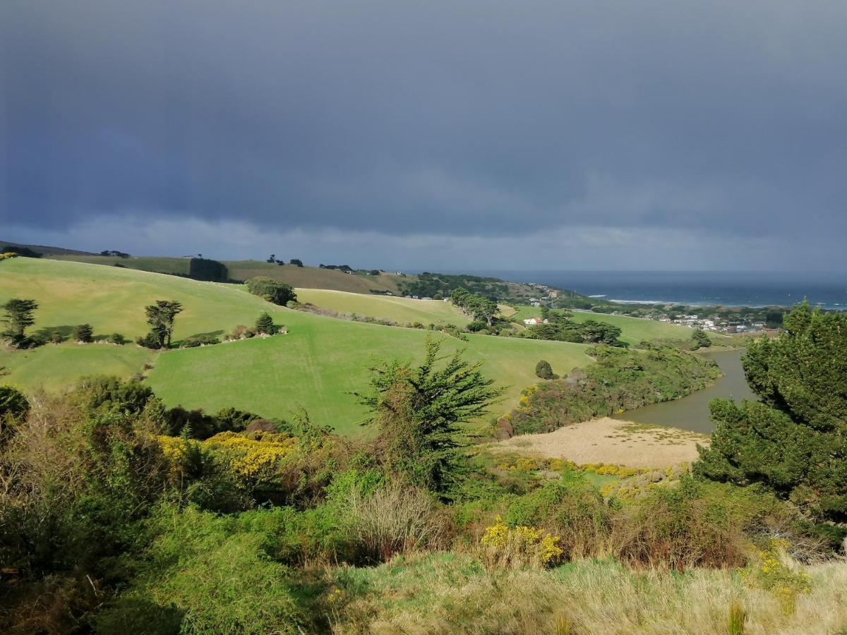 Ferienwohnung Gateway To Peninsula With Sea Views Dunedin Exterior foto
